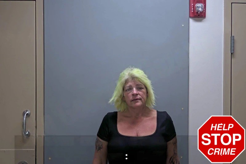 Dawn Carter Mugshots