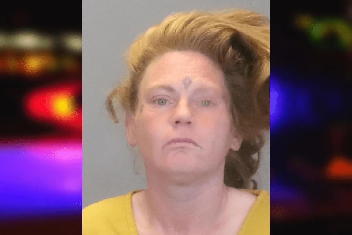 Dawn Wildridge Mugshots