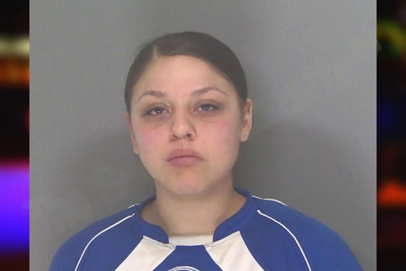 Dayna Romero Mugshots