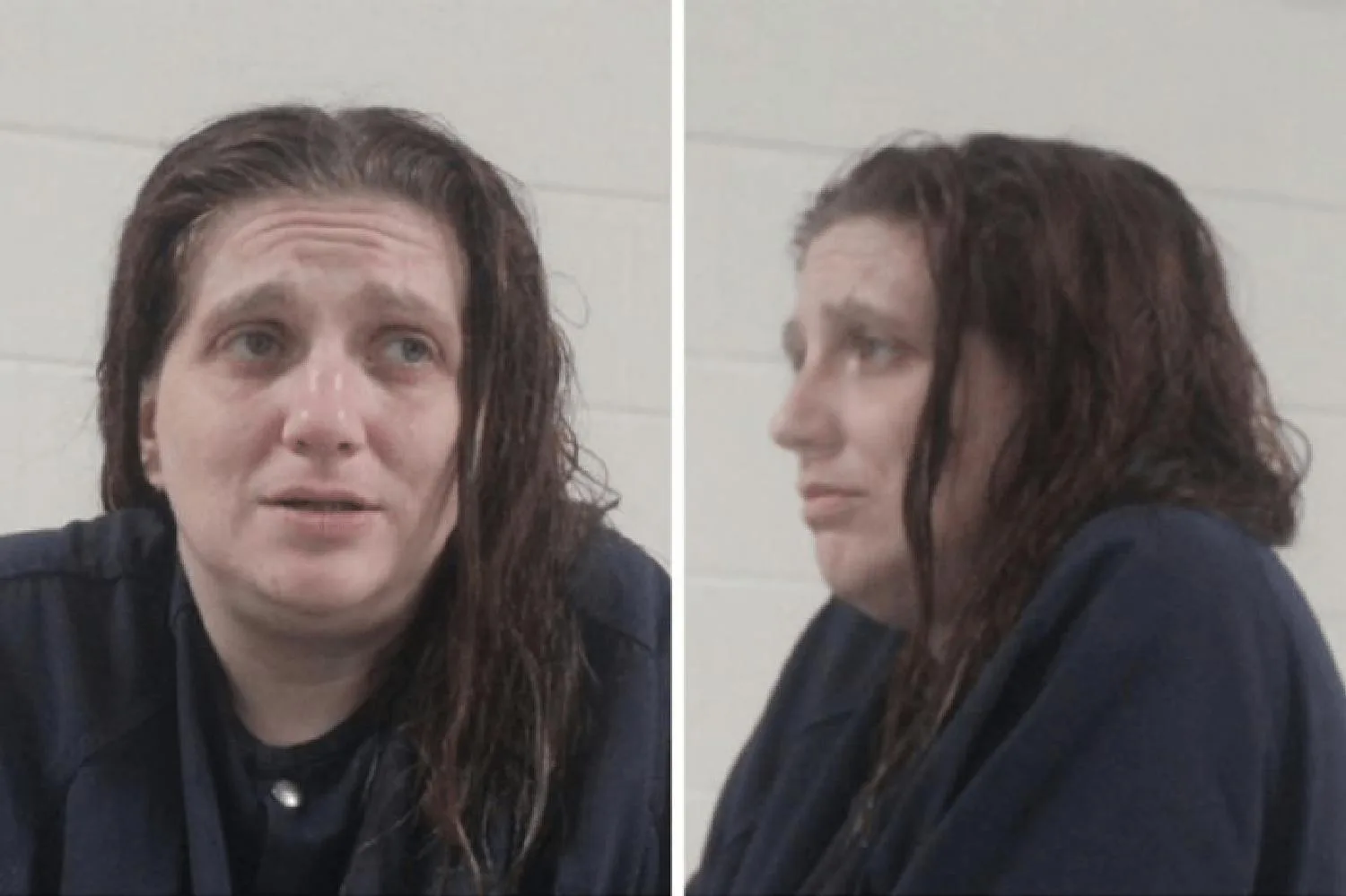 Deanna Johnson Mugshots