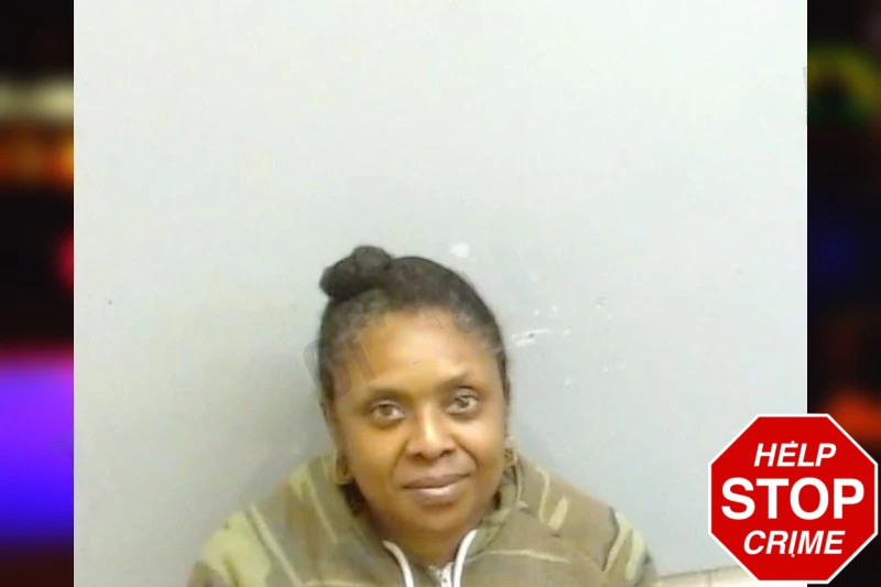 Deanna Tankoo Mugshots