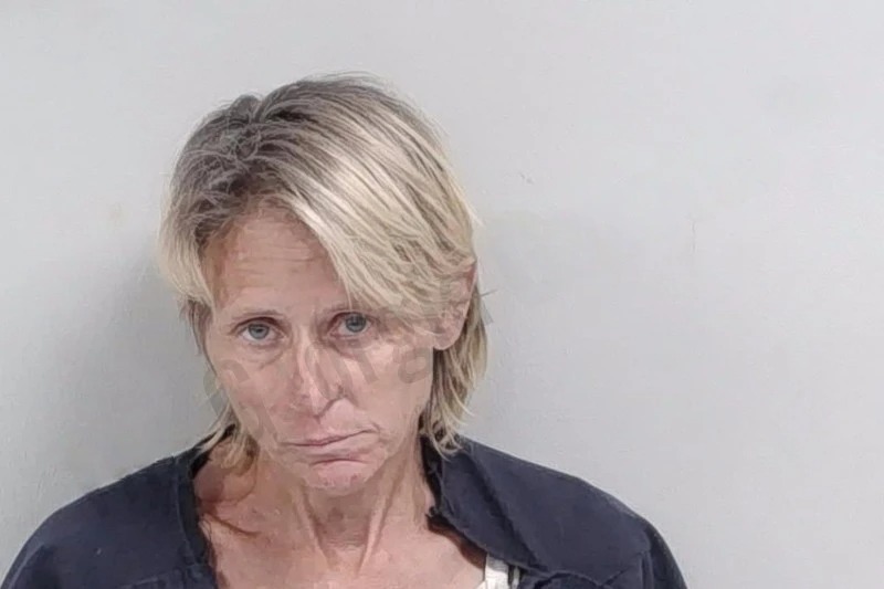 Deanna Turner Mugshots