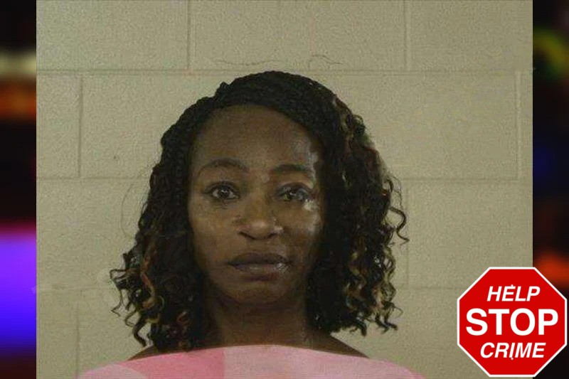 Debbie Hemingway Mugshots