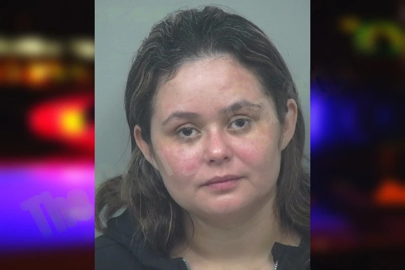 Debora Munguia-Santos mugshot