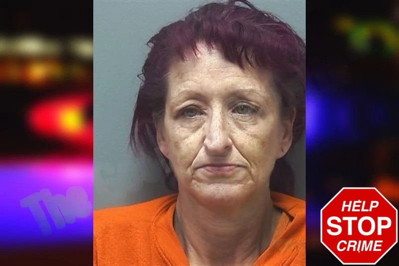 Deborah Leslie Mugshots