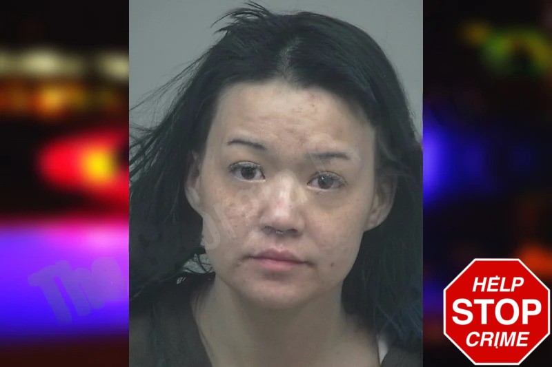 Deborah Williams mugshot – Gwinnett County , Georgia Deborah Williams mugshot