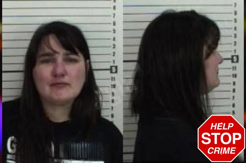 Debra Cardoza Mugshots