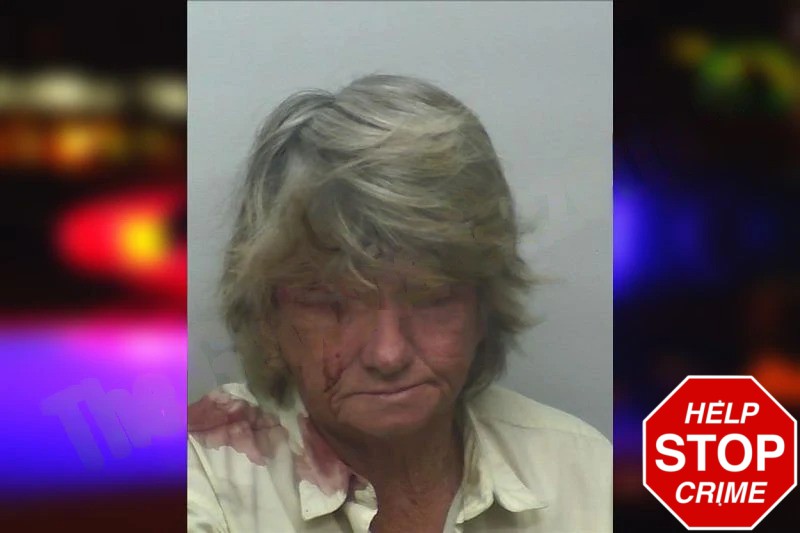Debra Cribbs Mugshots