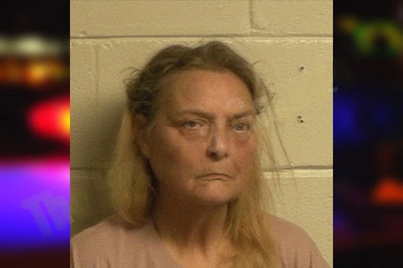 Debra Phillips Mugshots