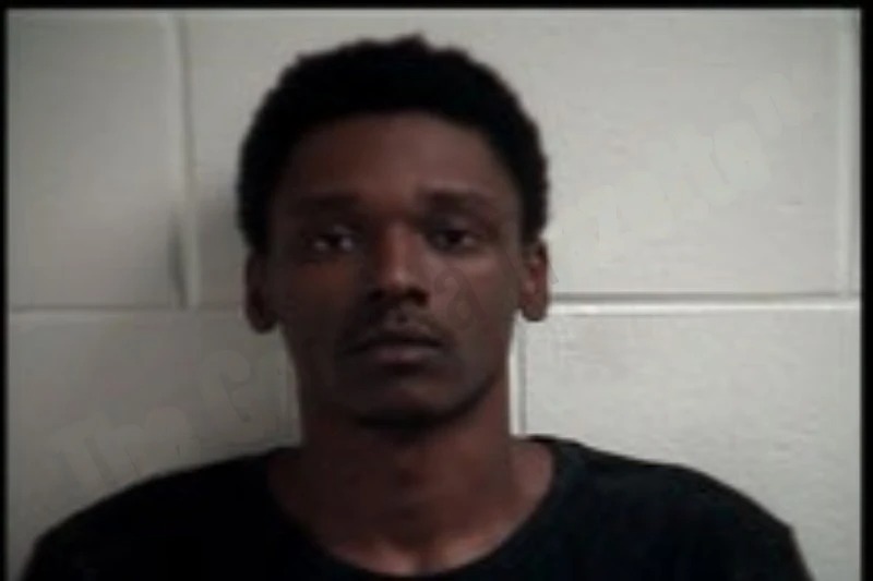 Dehaven Ashley mugshot – Henry County , Georgia Dehaven Ashley mugshot