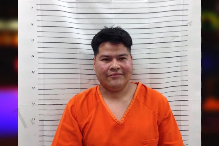 Delmar Ramirez Mendez