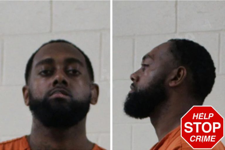 Demetrius King mugshot – Houston County , Georgia Demetrius King