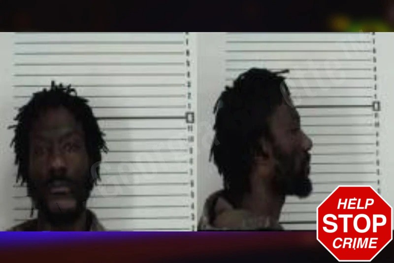 Demetrius Tippins Mugshots