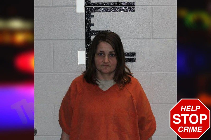 Denice Hampton mugshot – Murray County , Georgia Denice Hampton mugshot