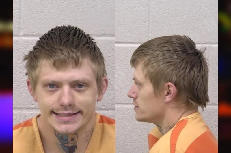 Denise Chastain Mugshots