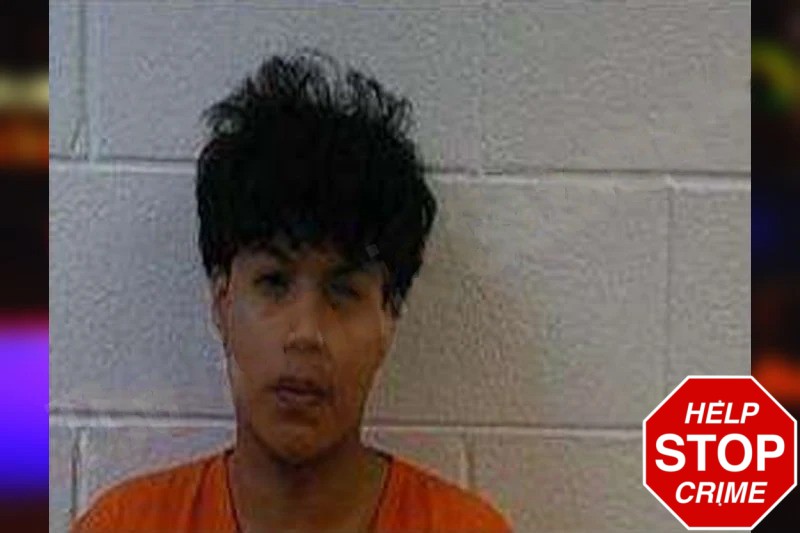 Dennis Velasquez mugshot – Polk County , Georgia Dennis Velasquez mugshot