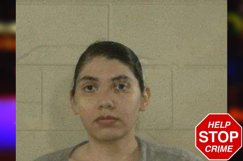 Derisee Sanchez-Rocha Mugshots