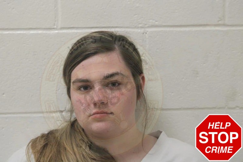 Desirae Willis Mugshots