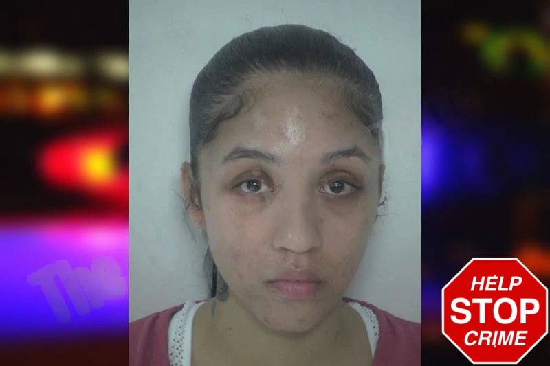 Destanie Ortega mugshot – Fayette County , Georgia Destanie Ortega mugshot