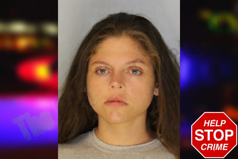 Destiny Beck Mugshots