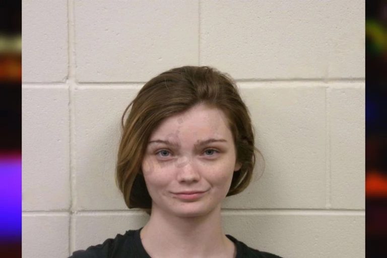 Destiny Joyner mugshot – Bulloch County , Georgia Destiny Joyner