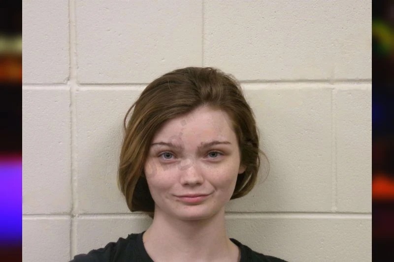 Destiny Joyner mugshot – Bulloch County , Georgia Destiny Joyner mugshot