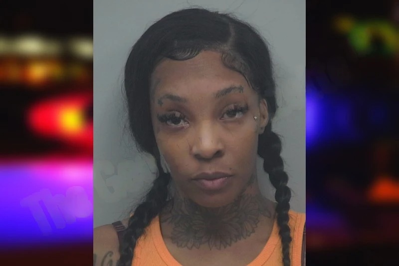 Destiny Mayson Mugshots