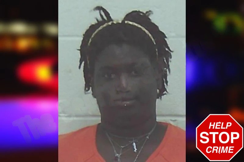 Dezire Turner Mugshots