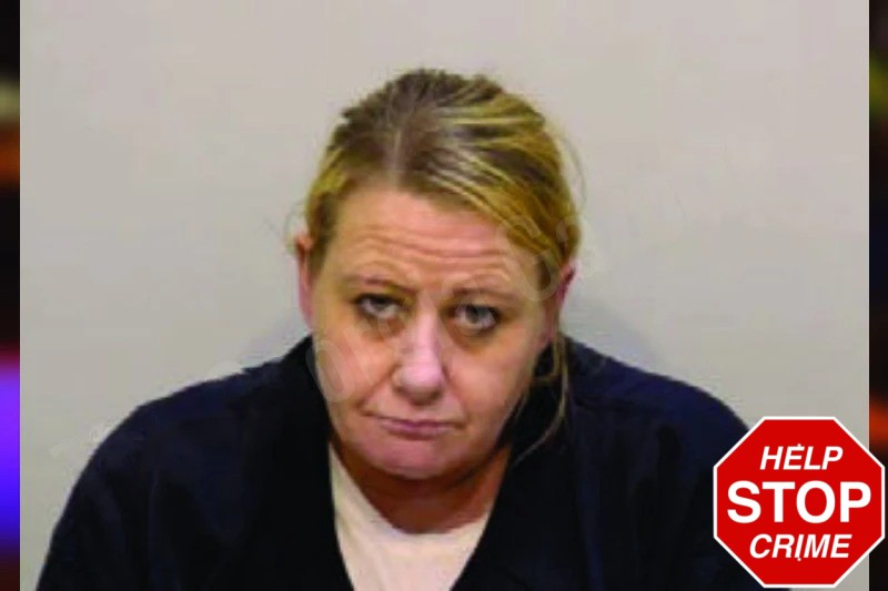 Dia Chastain Mugshots