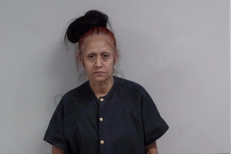 Diana Badillo Mugshots