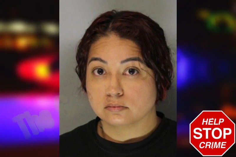 Diana Barrera Mugshots