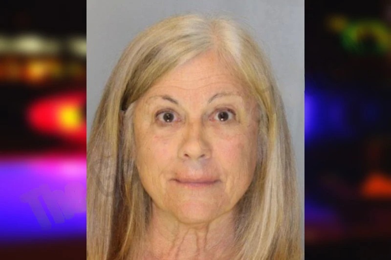 Diana Damico Mugshots