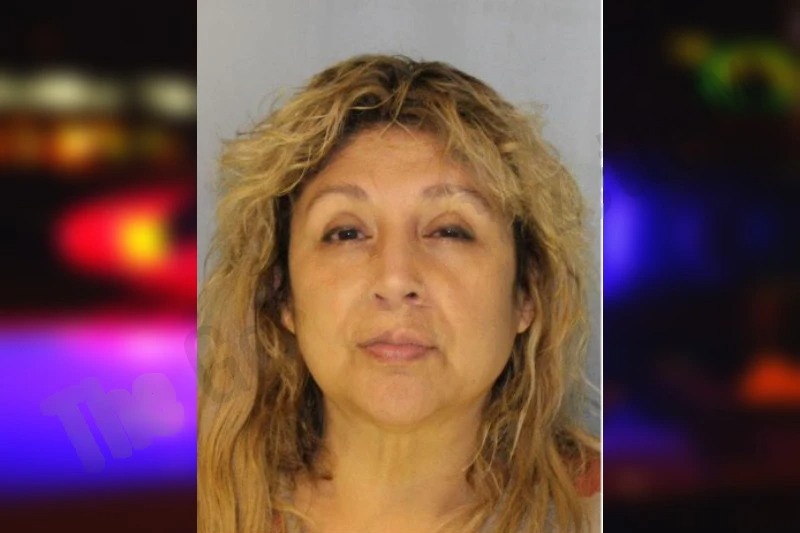 Diana Mitchell Mugshots