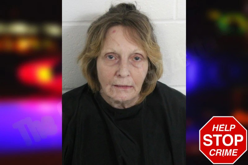 Diane McIlvaine Mugshots