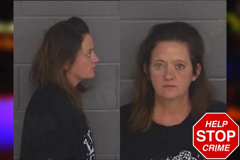 Diane Sommerer Mugshots