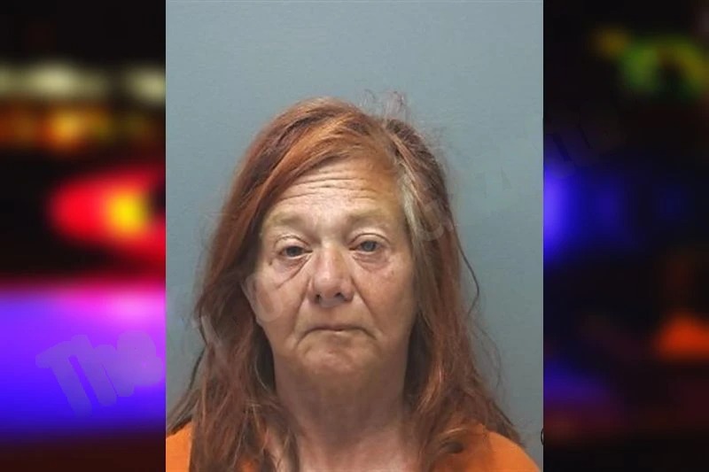 Dina Nichelson Mugshots
