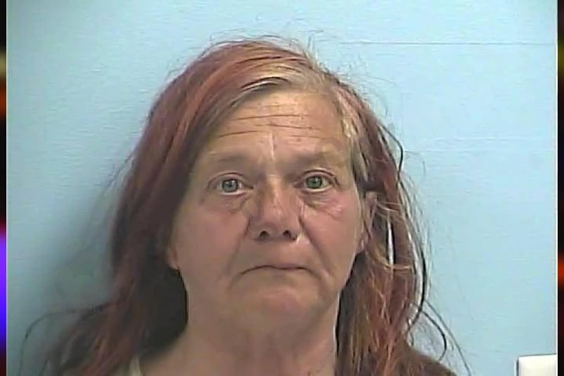 Dina Nichelson Mugshots