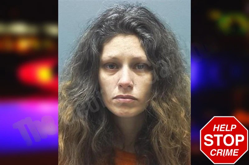 Dina Spencer Mugshots