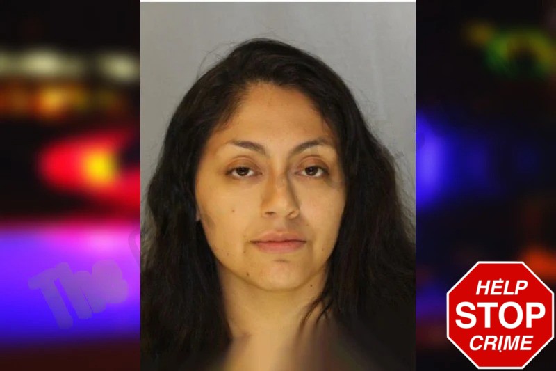 Dioscelin Fernandez Mugshots