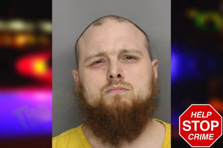 Dmitry Corbin mugshot – Gwinnett County , Georgia Dmitry Corbin