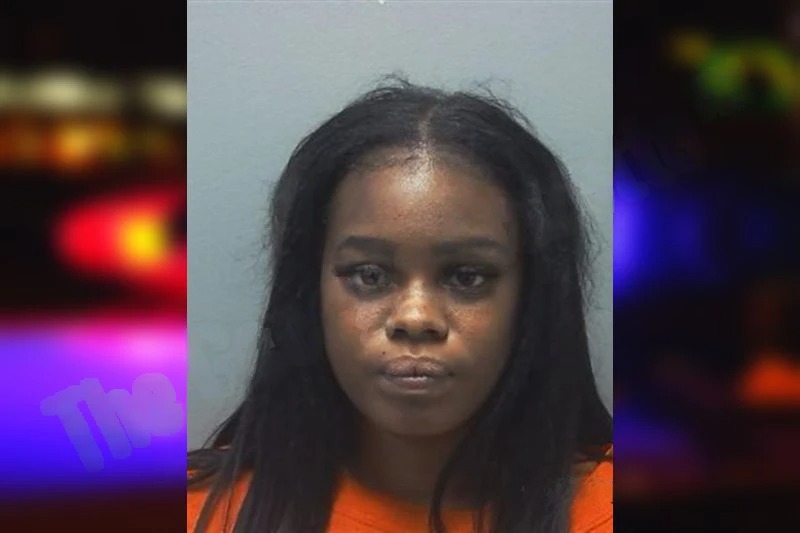 Dominique Bridges Mugshots