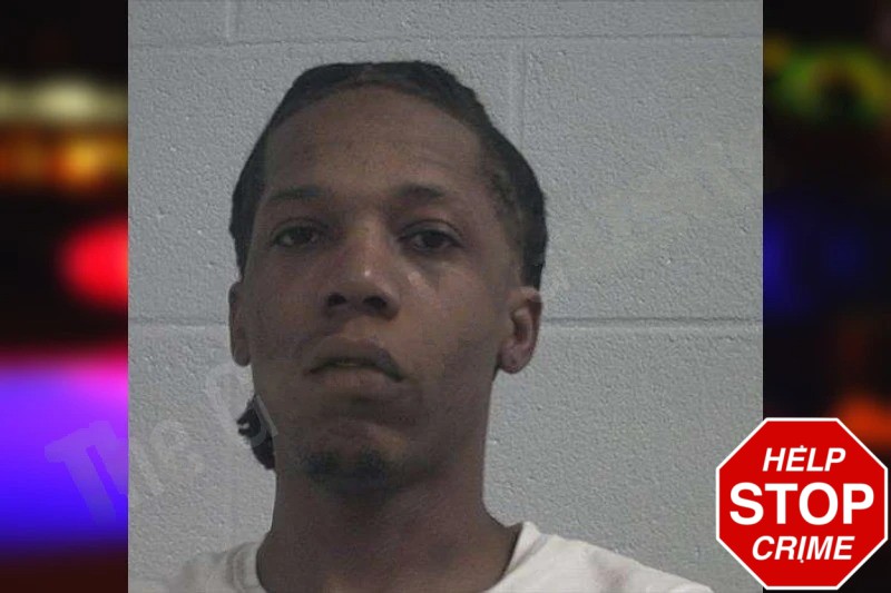 Dominique Wilson Mugshots