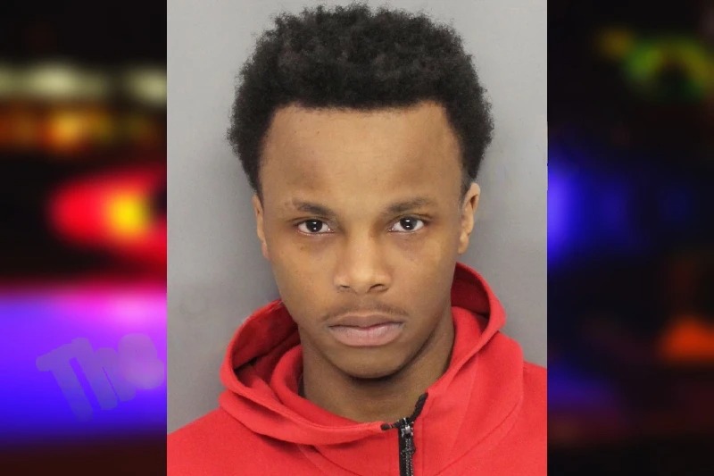 Donald Hyche Mugshots