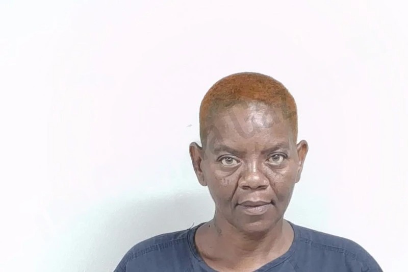 Donna Edwards Mugshots