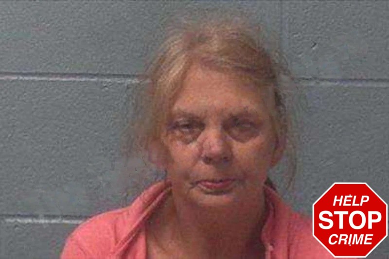 Donna Goss Mugshots