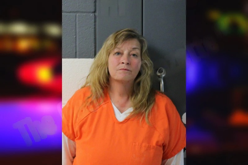 Donna Wills Mugshots