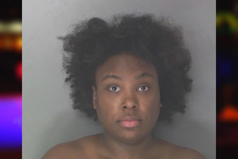 Dontashia Hisle Mugshots