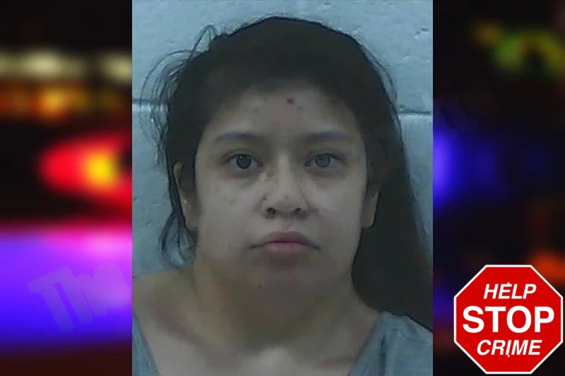 Doreese Bridgeman Mugshots