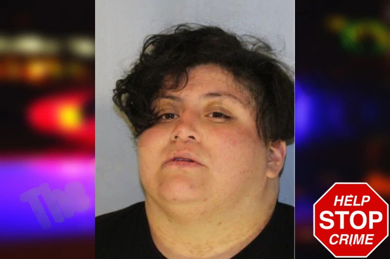 Doris Saucedo Mugshots