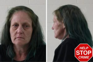 Dorthea Camp mugshot